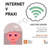 Internet v praxi