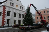 Město hledá vánoční strom